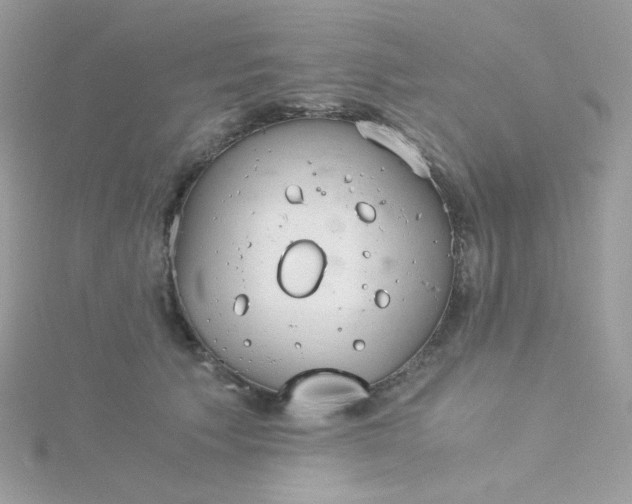 X0000115820609200911271139