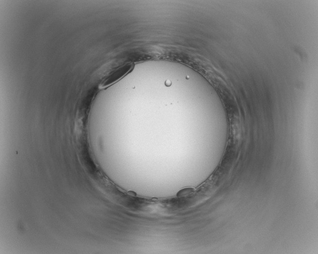 X0000115820611200911271139