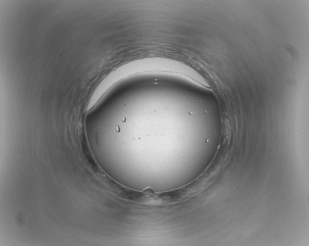 X0000115820613200911271139