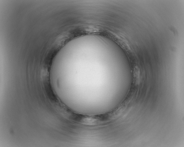 X0000115820614200911271139