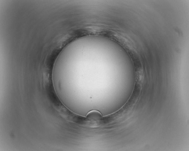 X0000115820615200911271139