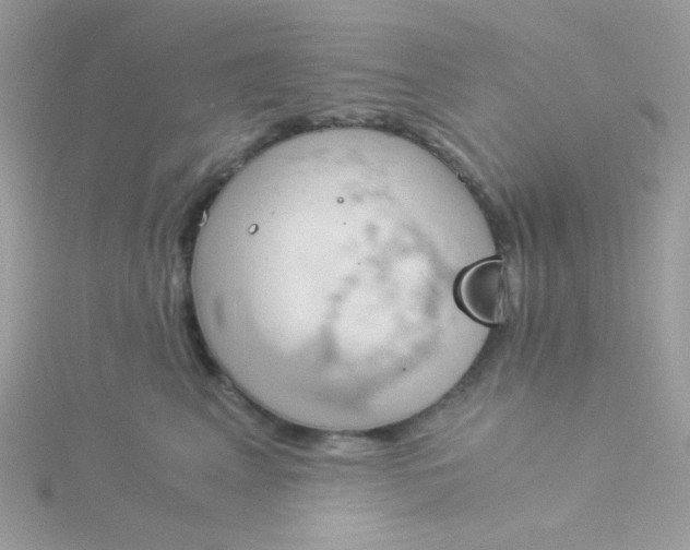 X0000115820617200911271139