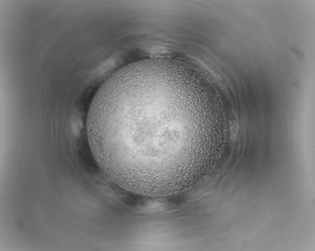 X0000115820618200911271139