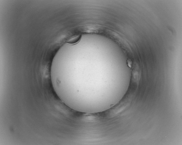 X0000115820620200911271139