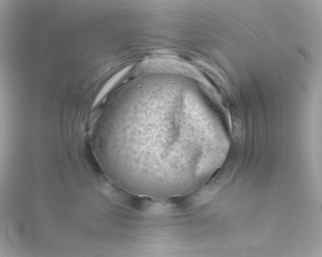 X0000115820621200911271139