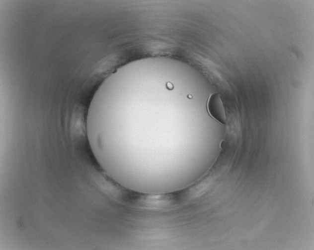 X0000115820622200911271138