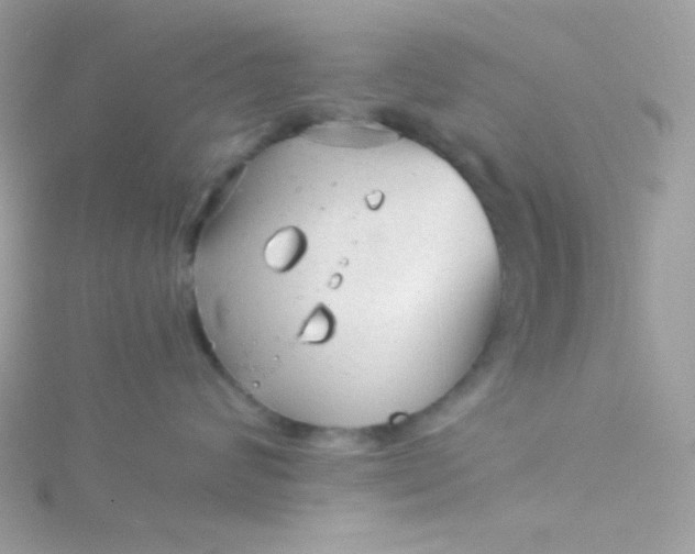 X0000115820624200911271138