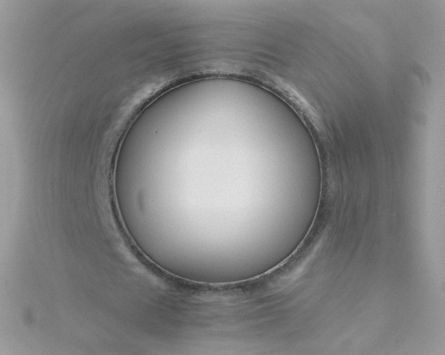 X0000115820625200911271138