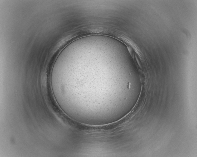 X0000115820626200911271138