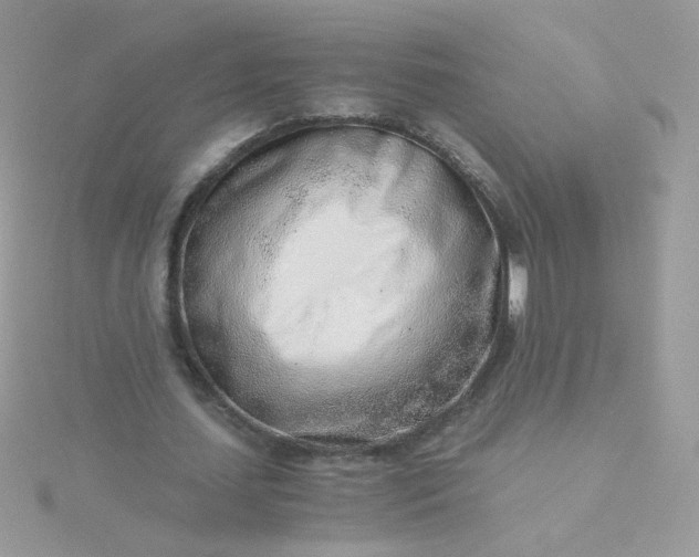 X0000115820627200911271138