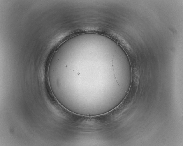 X0000115820631200911271138