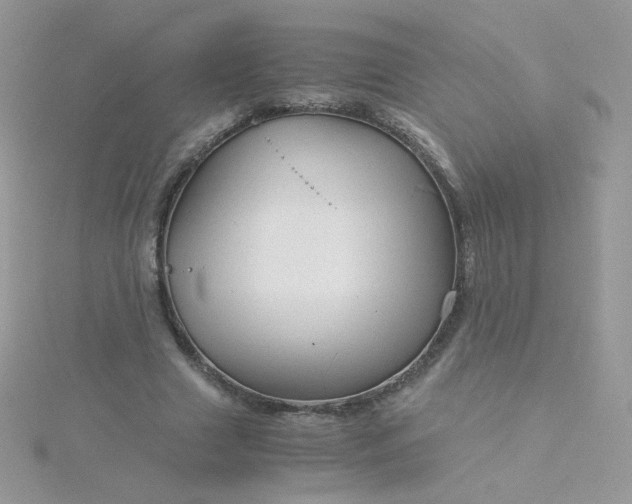 X0000115820633200911271138