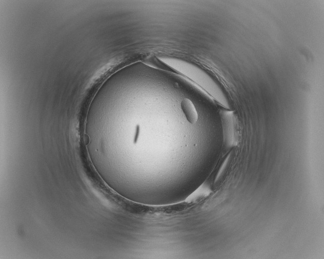 X0000115820634200911271138