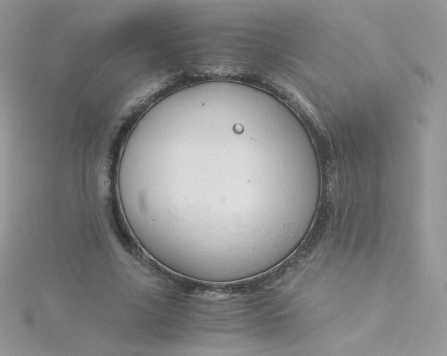 X0000115820635200911271138