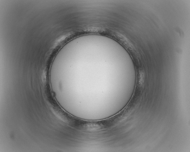 X0000115820636200911271138