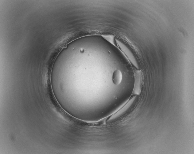 X0000115820637200911271138