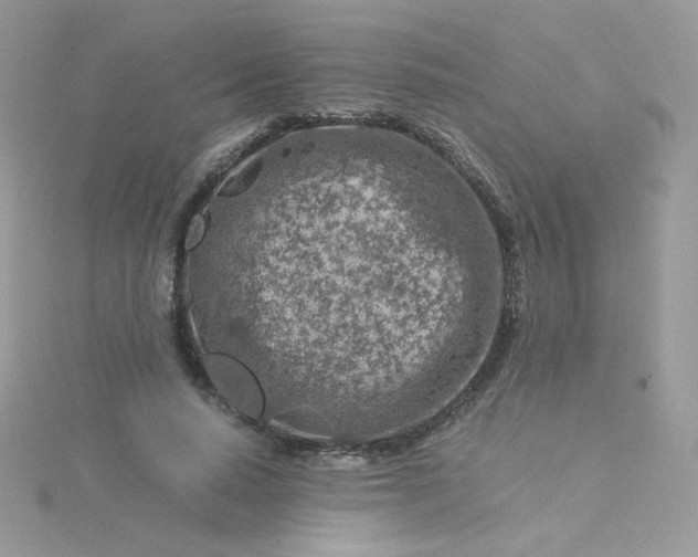 X0000115820640200911271138