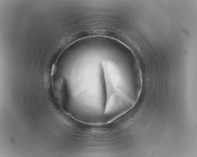 X0000115820641200911271138