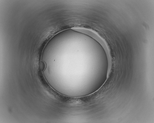 X0000115820642200911271138