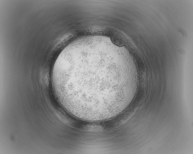 X0000115820644200911271138