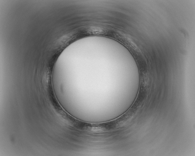 X0000115820645200911271138