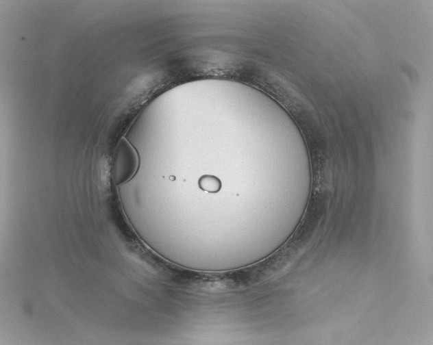 X0000115820646200911271138