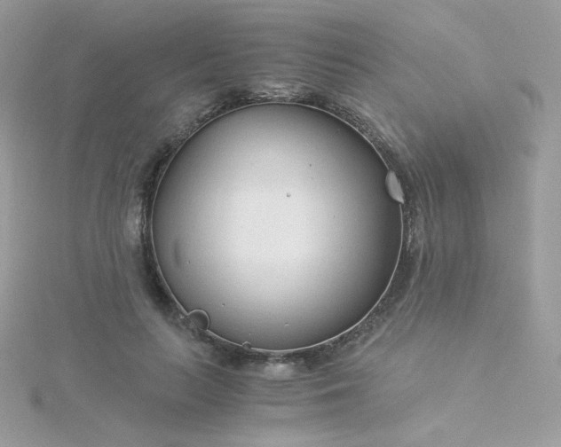 X0000115820647200911271138