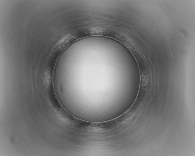 X0000115820648200911271138