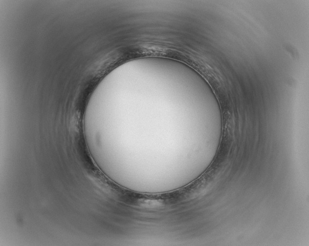 X0000115820649200911271138