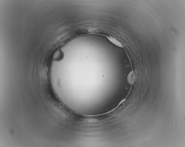 X0000115820650200911271138