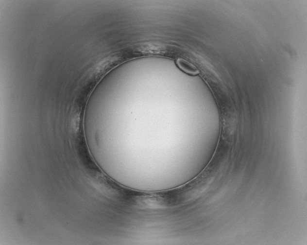 X0000115820652200911271138