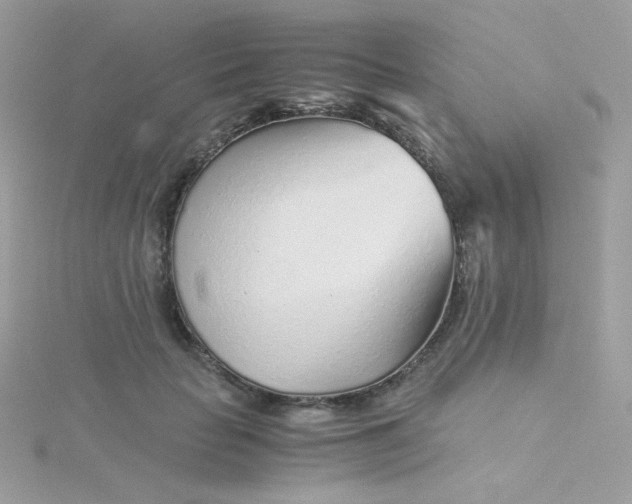 X0000115820653200911271138