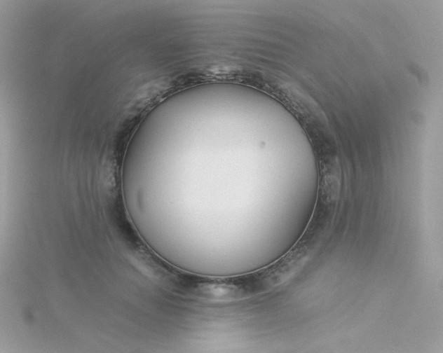 X0000115820654200911271138