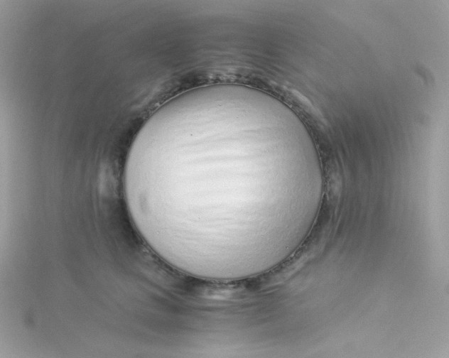 X0000115820661200911271138