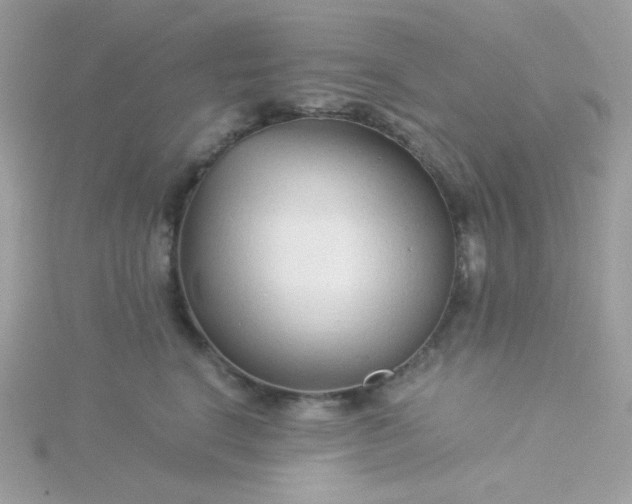 X0000115820664200911271138