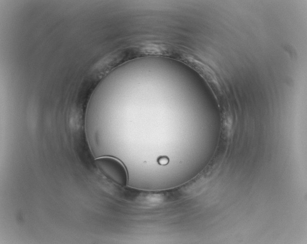 X0000115820665200911271138