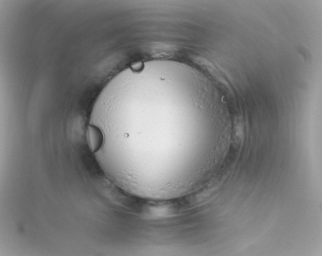 X0000115820667200911271138