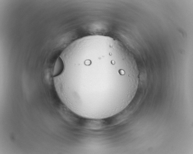 X0000115820671200911271138