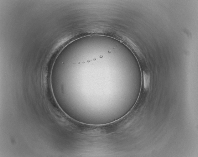 X0000115820675200911271138