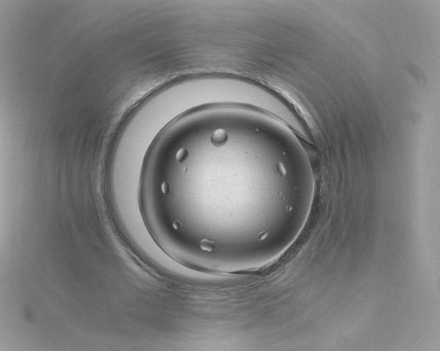 X0000115820677200911271138