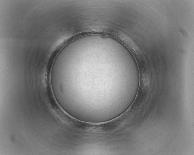 X0000115820680200911271138