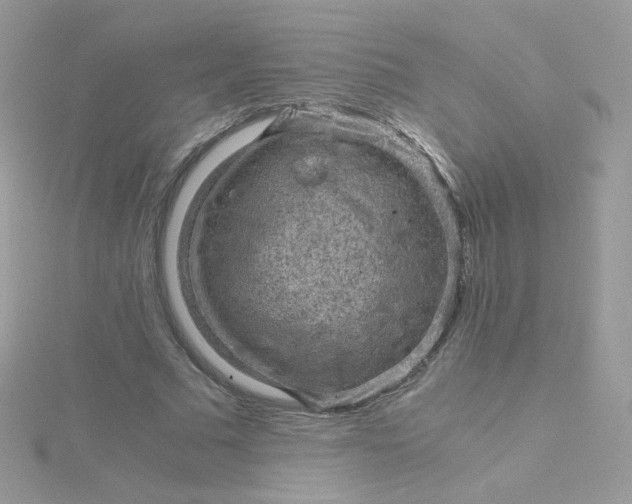 X0000115820681200911271138