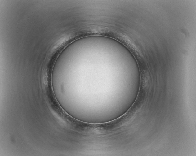 X0000115820683200911271138