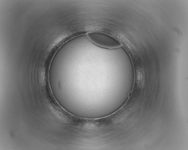 X0000115820684200911271138