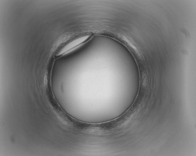 X0000115820685200911271138