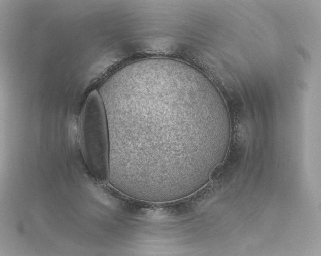 X0000115820688200911271137