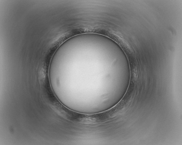 X0000115820691200911271137