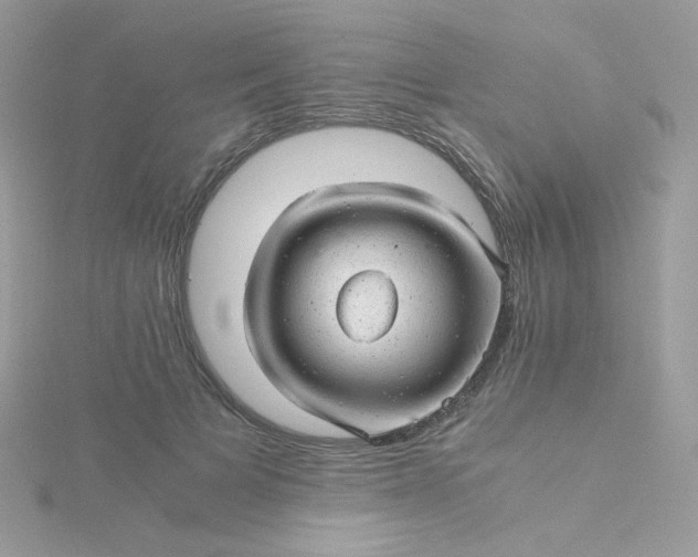 X0000115820697200911271137