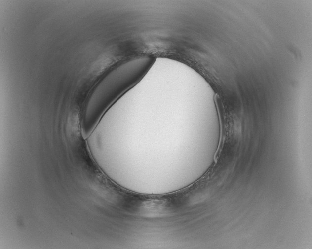 X0000115820700200911271137