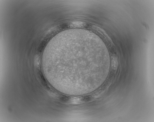 X0000115820701200911271137